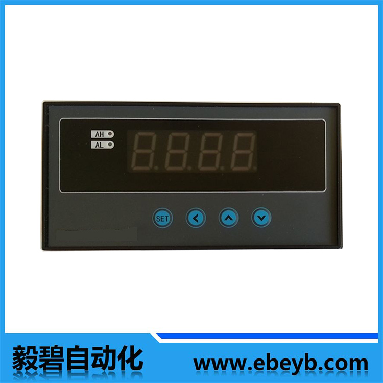 數(shù)字巡回檢測報(bào)警儀